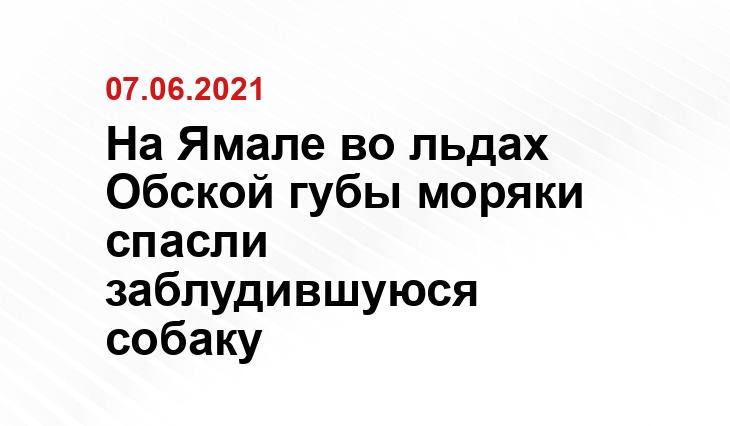 t-l.ru