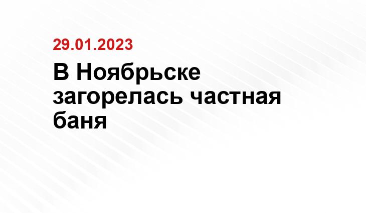 В Ноябрьске загорелась частная баня ИА SM-News