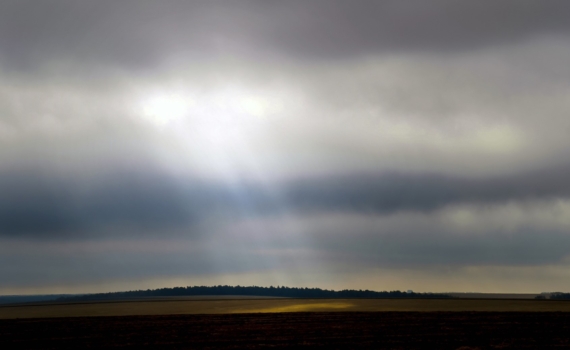 Случайное открытие: как эксперимент с лазерным пинцетом помог разгадать великую загадку природы Случайное открытие: как эксперимент с лазерным пинцетом помог разгадать великую загадку природы