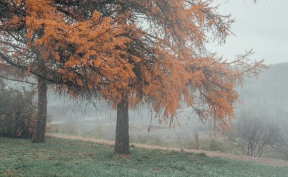 Осталась неделя до зимы: всего 7 дней, чтобы привлечь удачу, любовь и защиту – магические ритуалы