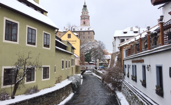 Дробницкий: Трамп не знаком с программными документами своей же администрации
