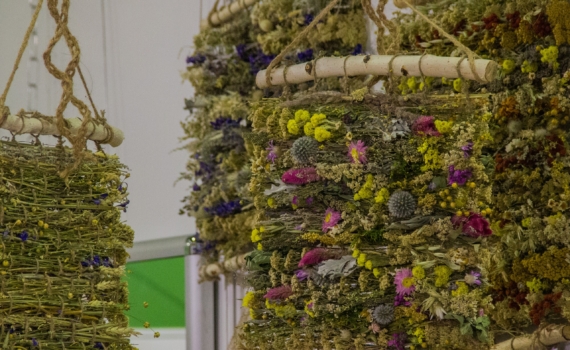 Ароматы способны на многое: как наш мозг реагирует на разные запахи — с пользой для здоровья Ароматы способны на многое: как наш мозг реагирует на разные запахи — с пользой для здоровья